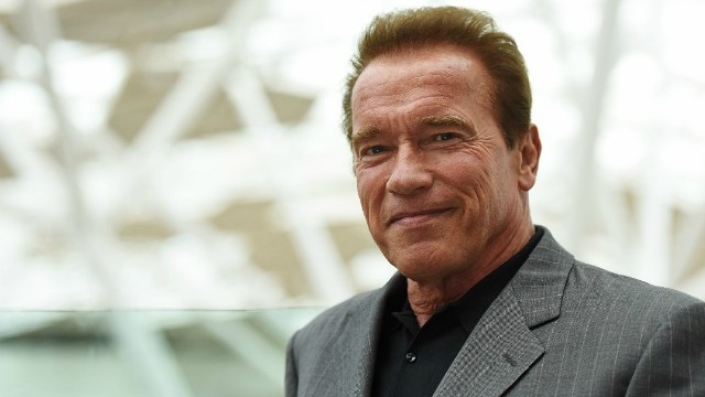Anche Arnold Schawzenegger nel sequel dell'assurdo Kung Fury