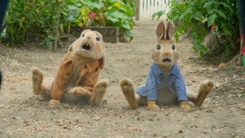 Peter Rabbit, la nostra recensione del film ispirato ai racconti di ...