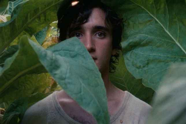 Lazzaro felice: le prime foto del film di Alice Rohwacher in concorso al Festival di Cannes 2018