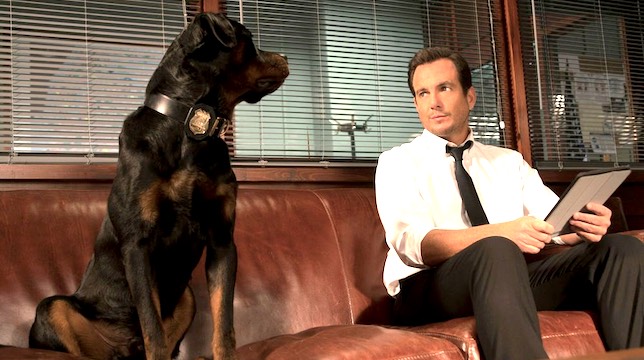 Show Dogs: recensione della commedia canina con una pioggia di doppiatori famosi