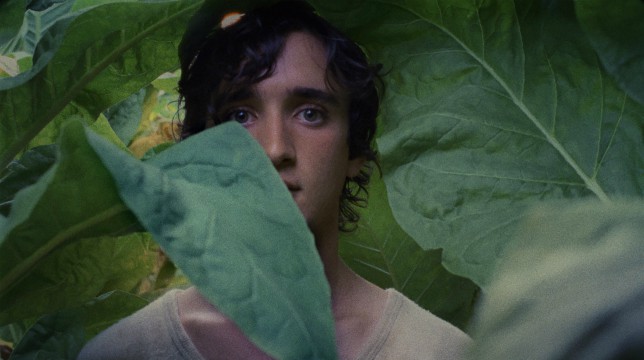 Lazzaro felice: la recensione del film di Alice Rohwacher in concorso al Festival di Cannes 2018