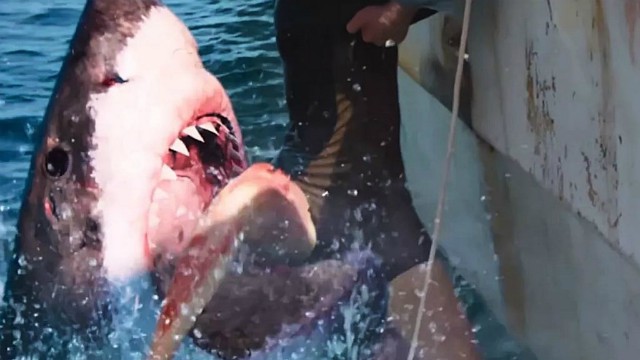 47 Meters Down: The Next Chapter - il primo teaser trailer del sequel di 47 metri