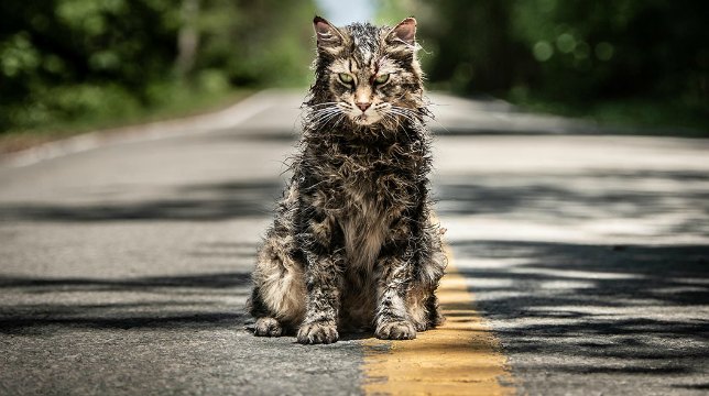 Pet Sematary: il gatto Church, la famiglia Creed e Jud Randall nelle prime foto del film