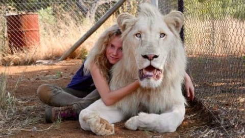 Sul set con Mia e il Leone Bianco: video in anteprima