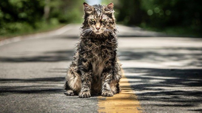 Pet Sematary: un nuovo agghiacciante teaser dell'horror dal romanzo di Stephen King