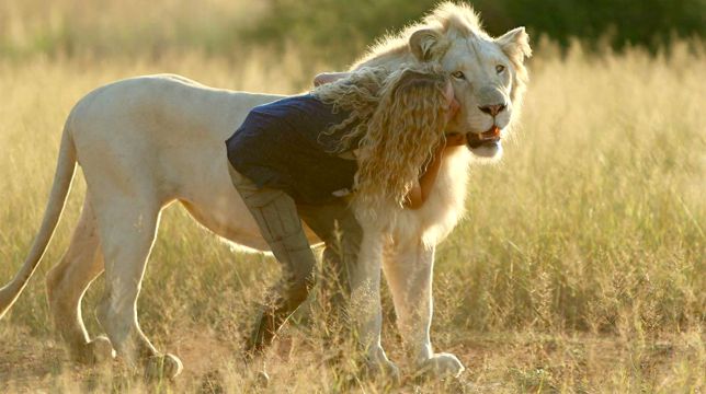 Mia e il leone bianco primo al boxoffice italiano del weekend
