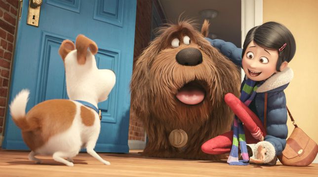 Pets, il campione d'incassi animato in streaming su Infinity, aspettando Pets 2
