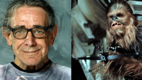 Giochi Preziosi Star Wars Guerre Stellari Chewbacca Animatronic Interattivo con | Acquisti Online su
