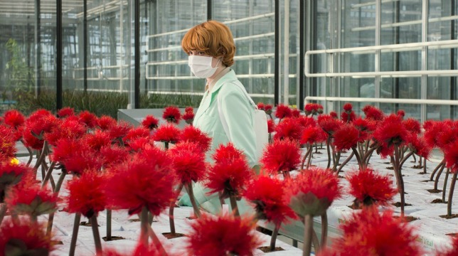 Little Joe: recensione del fantascientifico film di Jessica Hausner in concorso a Cannes 2019
