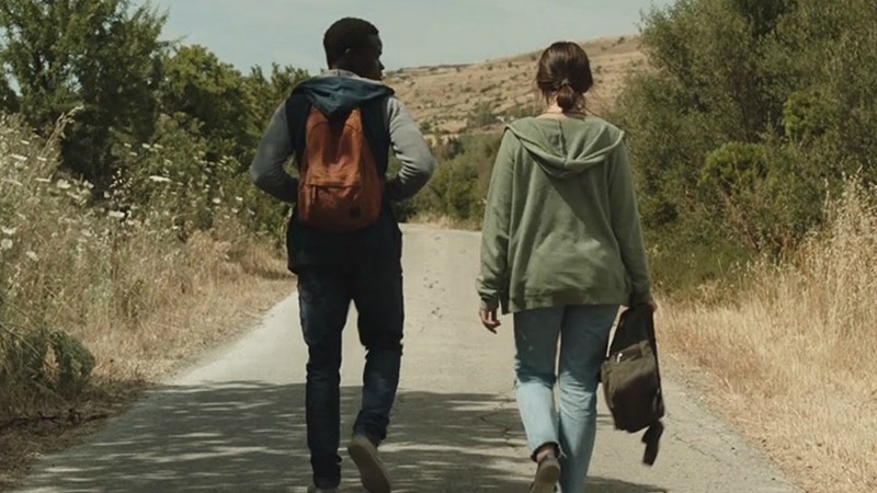 Fiore gemello: recensione del dramma on the road di Laura Luchetti