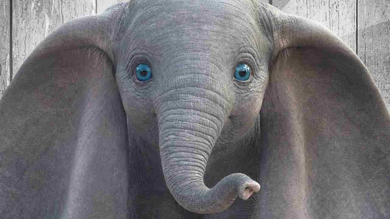 Dumbo ora in streaming, dal 16 luglio in Blu-ray, Ultra HD 4K e dvd: una clip esclusiva dai contenuti extra