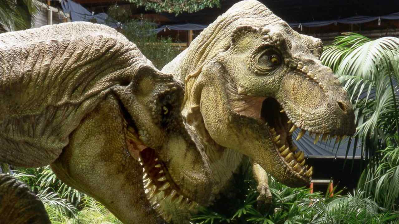 Stasera in TV: i Film di Oggi Sabato 13 Luglio 2019