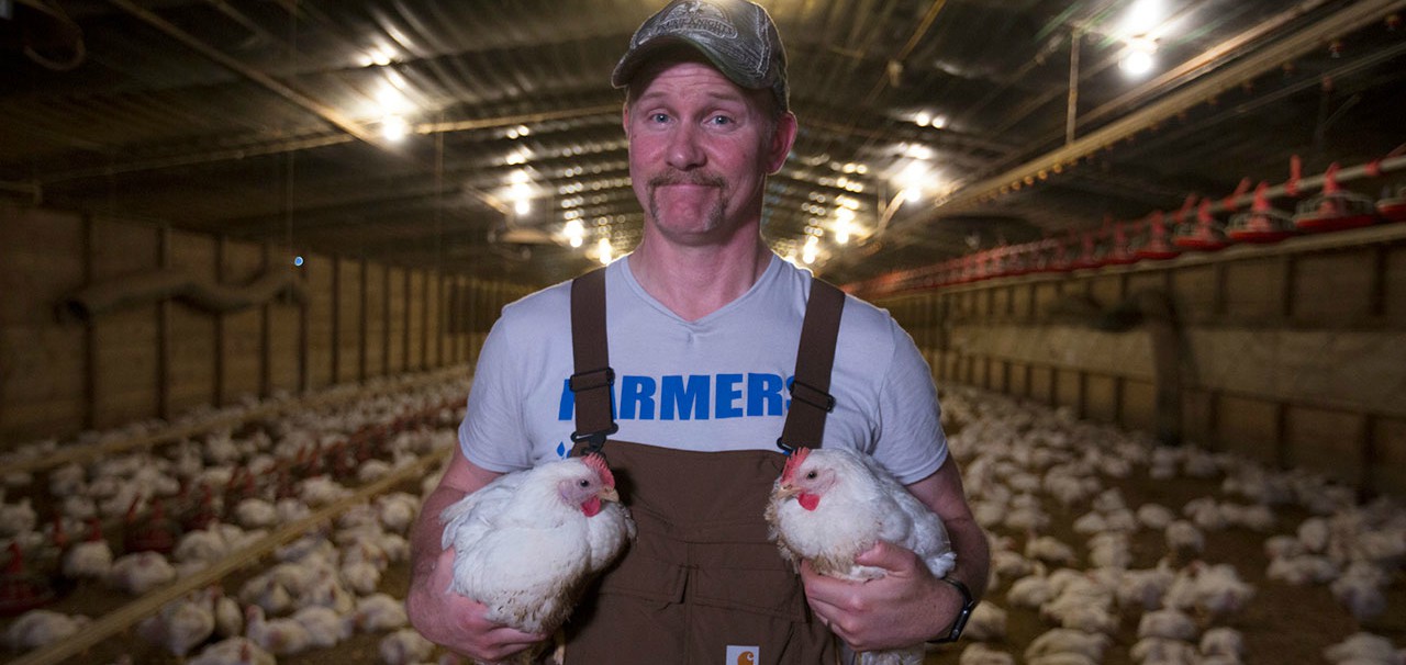 Super Size Me 2: Holy Chicken!: il trailer del sequel di Super Size Me