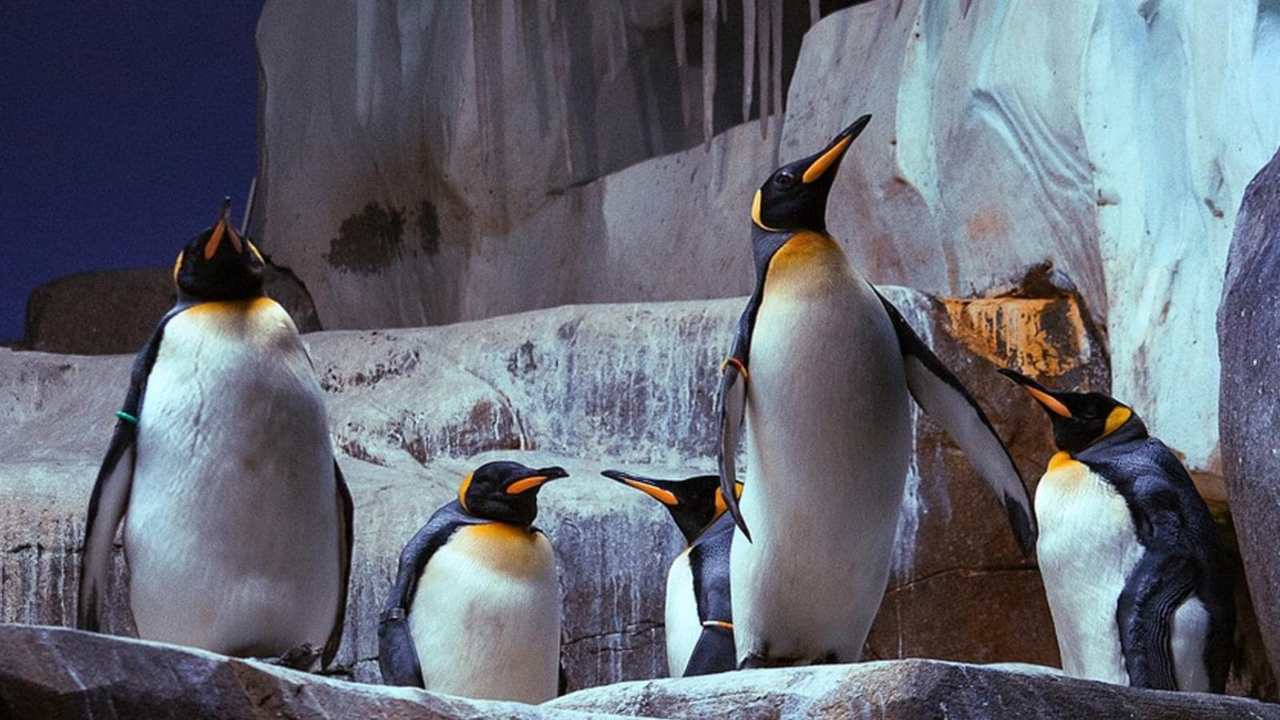 SuperQuark: stasera il quarto appuntamento su Rai1