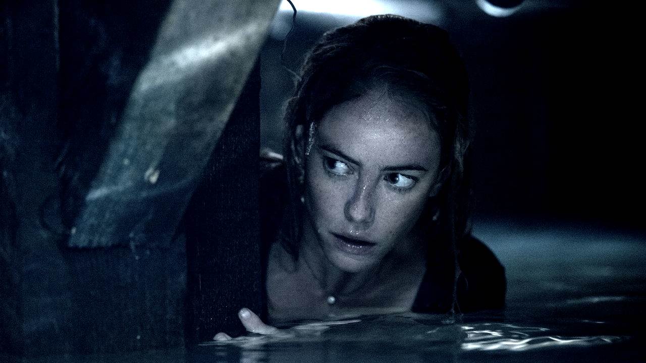 Crawl - Intrappolati: la nostra video intervista esclusiva al regista  Alexandre Aja e alla protagonista Kaya Scodelario