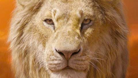 Il re leone dei record, il più alto incasso Disney in Italia di sempre