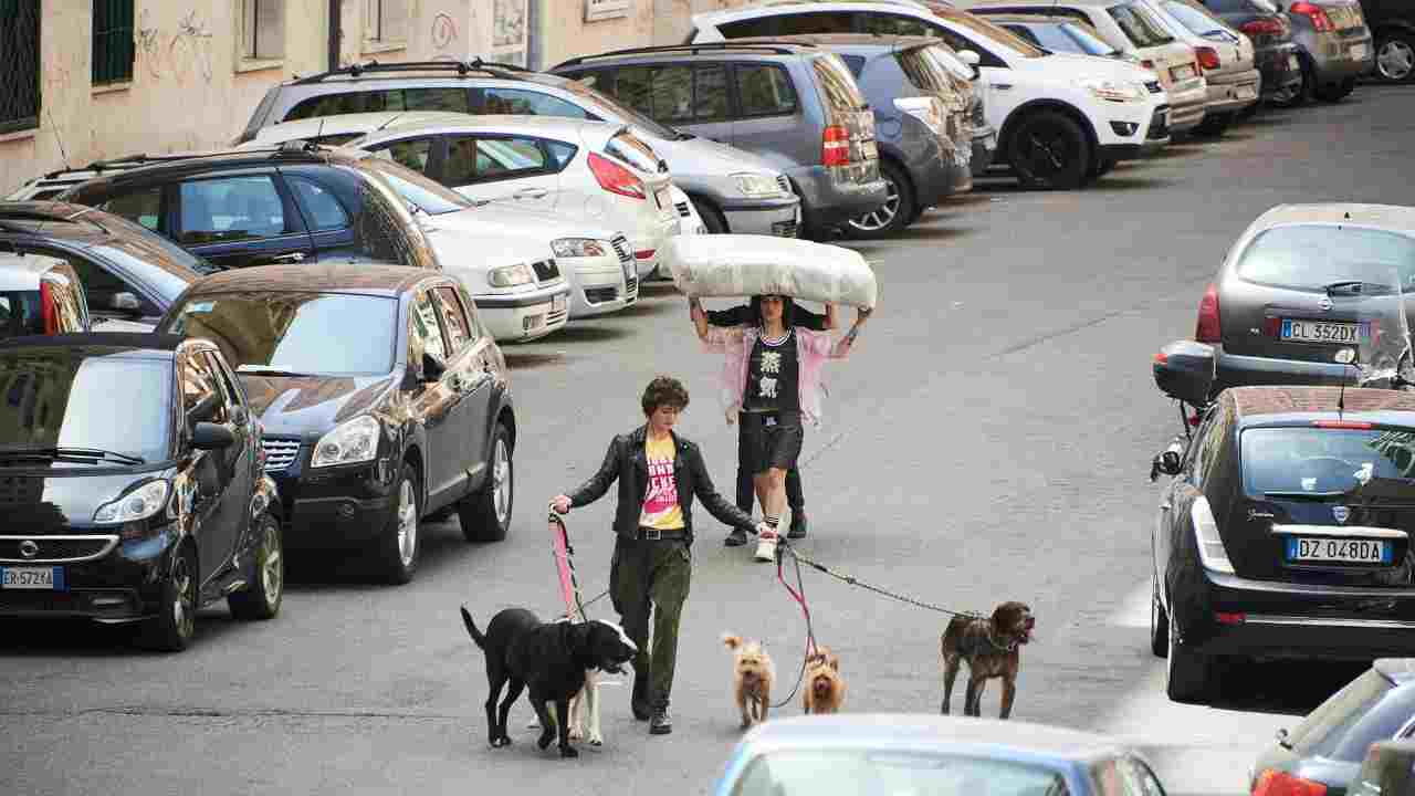 Il colpo del cane - recensione della stravagante commedia cinofila