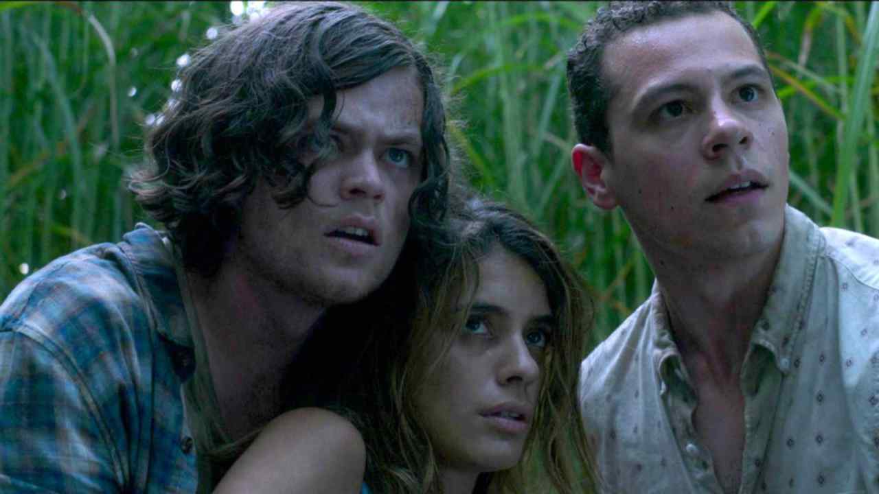 Nell'erba alta: il trailer italiano del film tratto dalla storia di Stephen King e Joe Hill