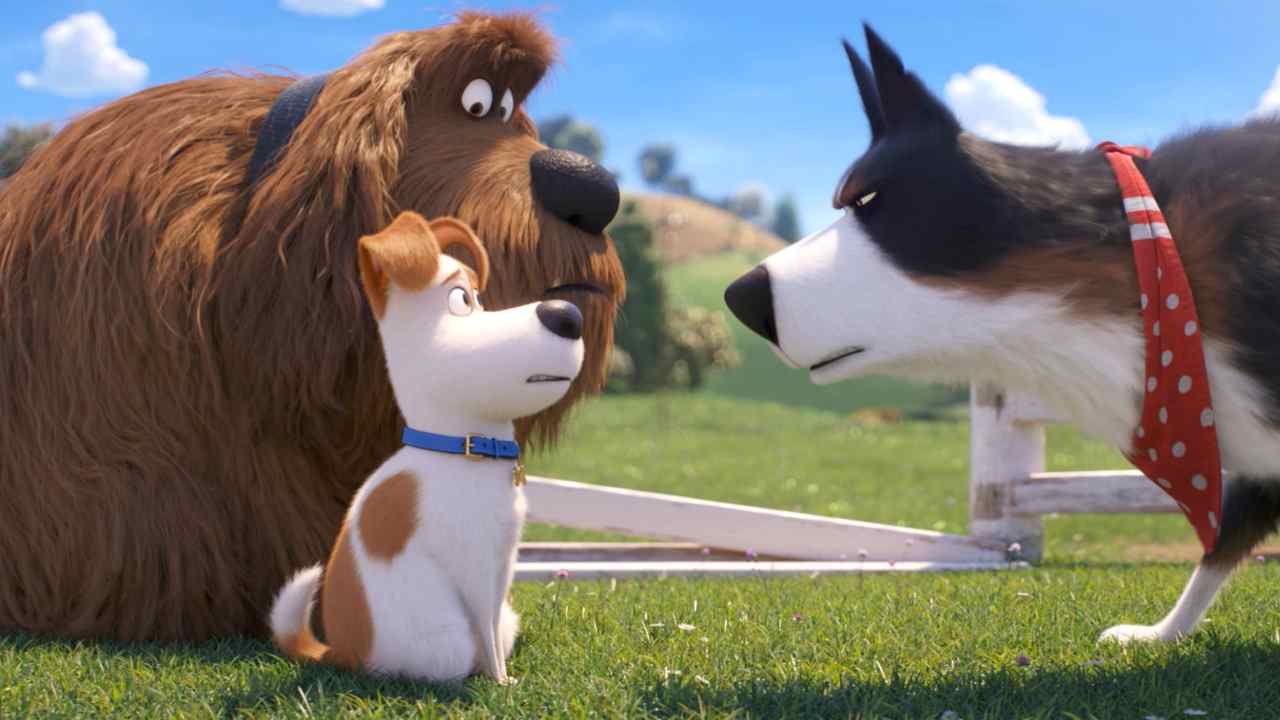 Romics XXVI, per Pets 2 in Blu-ray un evento aperto ai cani di piccola taglia!
