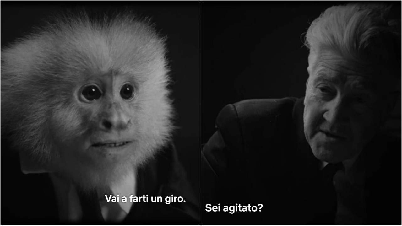 David Lynch interroga una scimmia in What Did Jack Do?