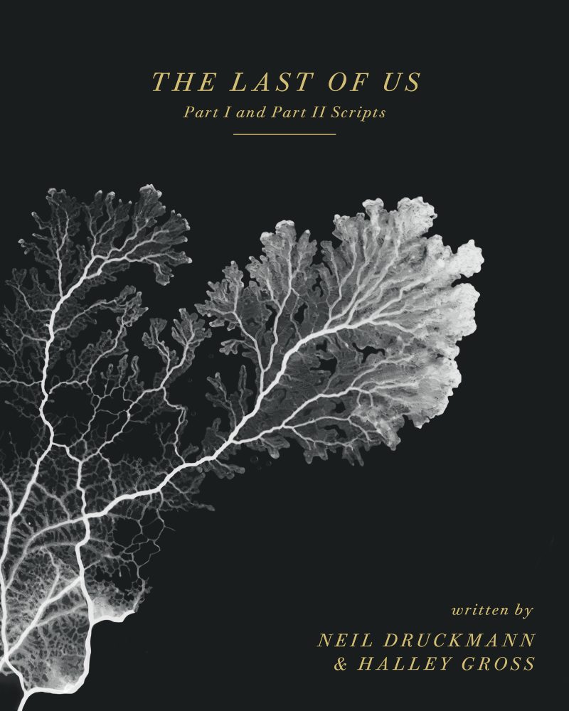 The Last Of Us Parte I Riceve Ottimi Voti Dalla Stampa Specializzata - Foto 6