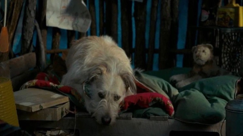 Stranger Things: David Harbour non sopportava il cane dei Byers (che ...