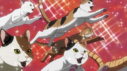 Scopri il trailer di “Nyaight of the Living Cat”, la nuova serie anime di Crunchyroll