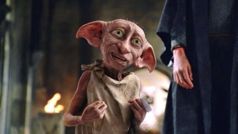 Dobby e i Segreti di Hogwarts: Un Nuovo Capitolo nella Serie TV di Harry Potter