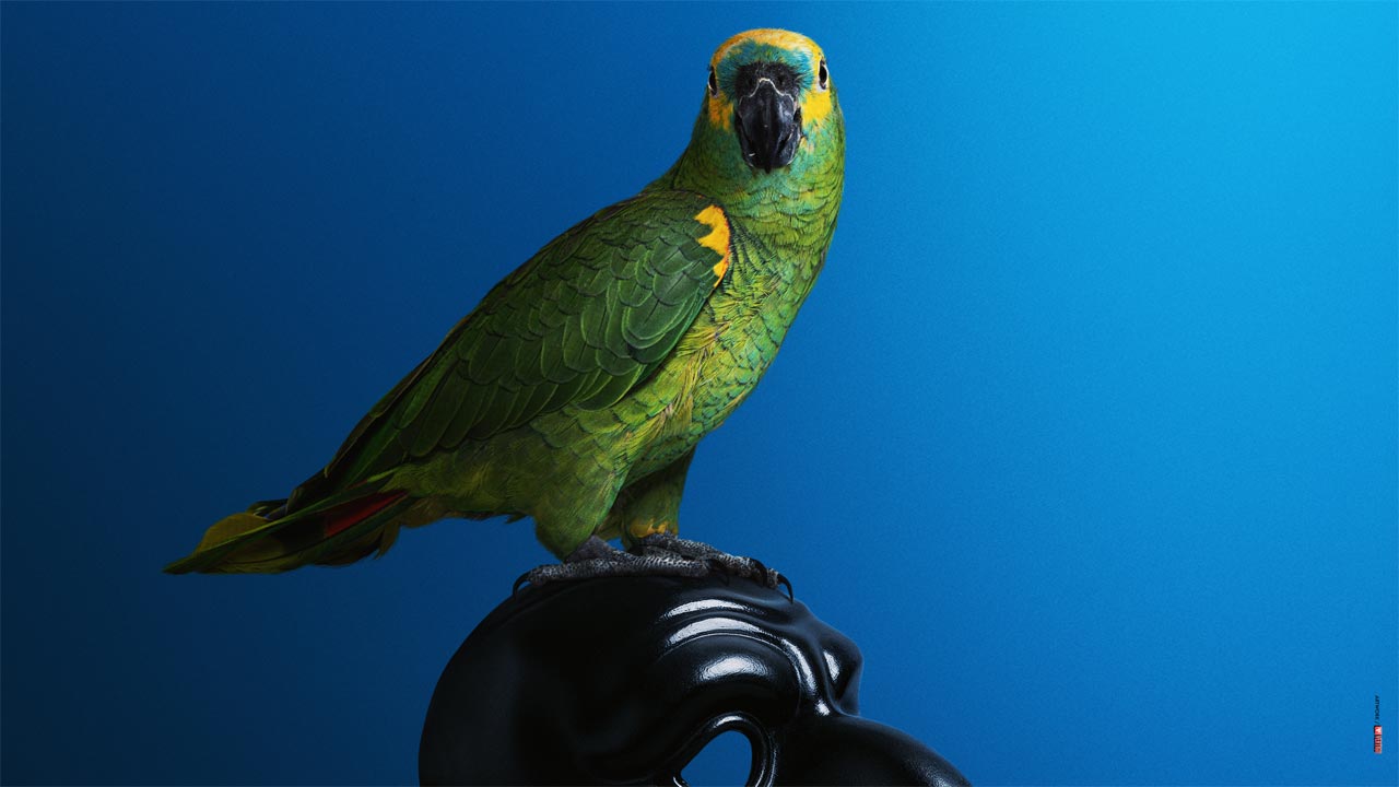 Portobello, la prima serie italiana di HBO Max sarà presentata al ...