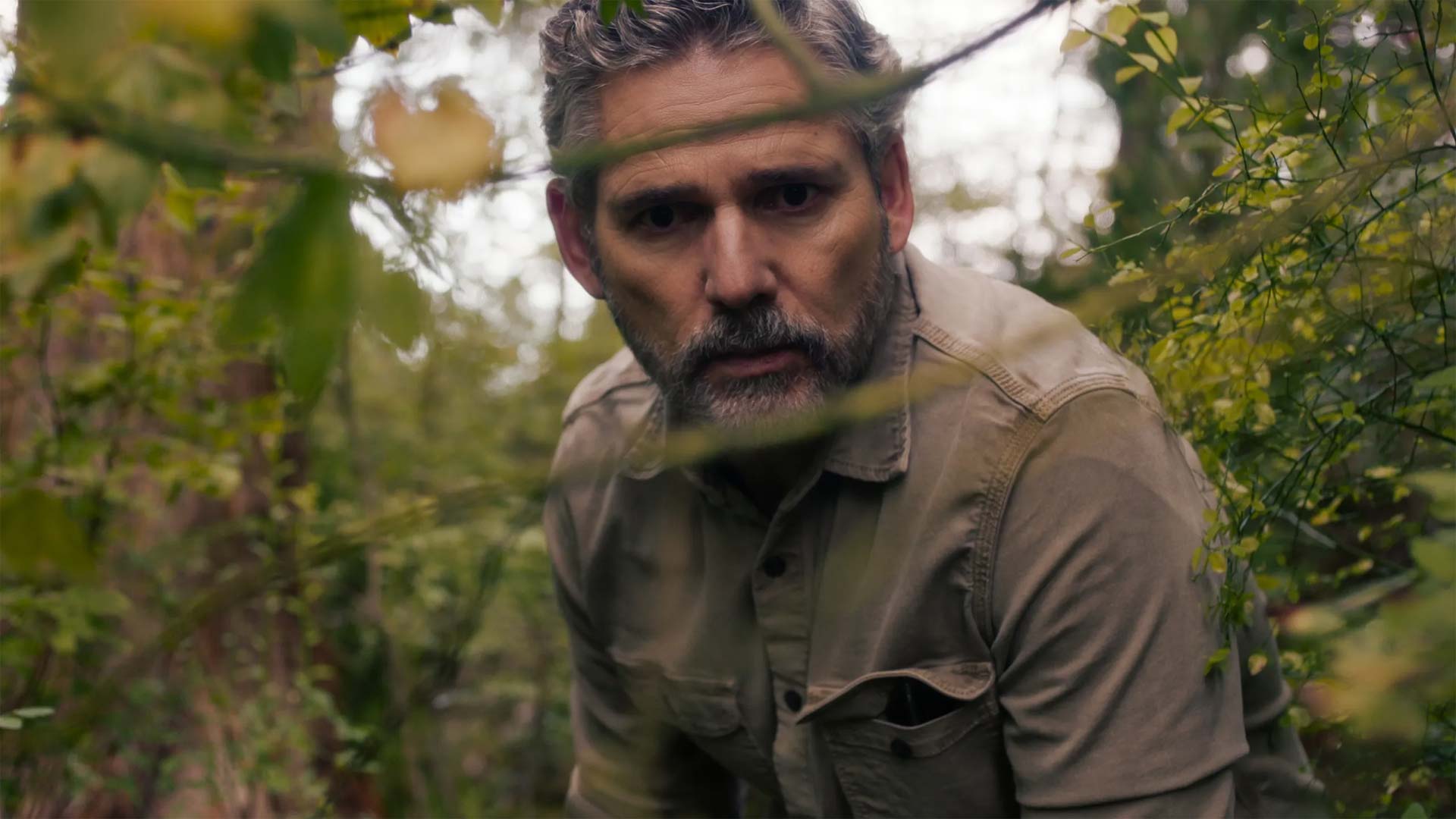 untamed continua netflix ordina la stagione 2 dopo il successo di pubblico