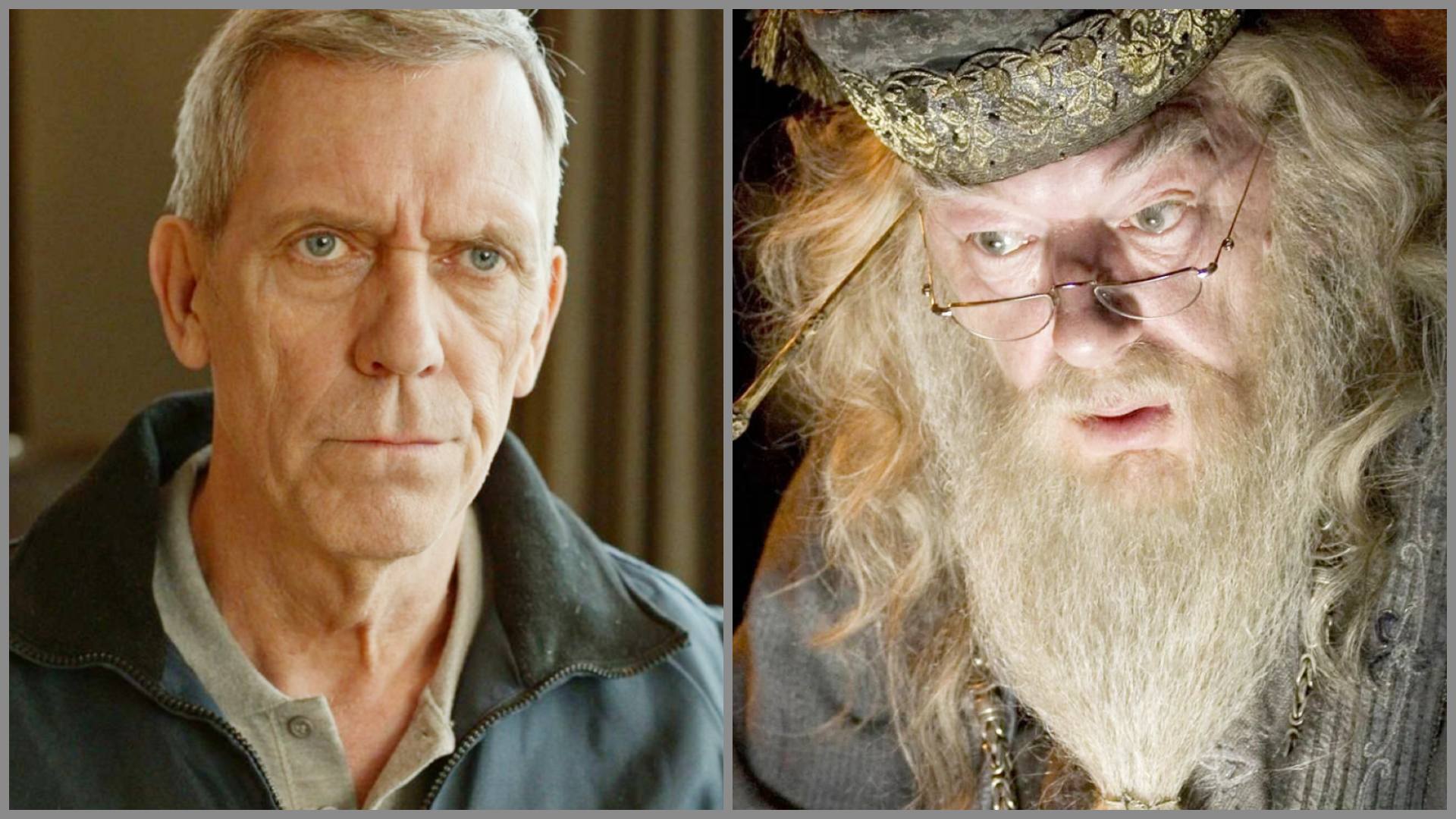 Harry Potter, Hugh Laurie è Albus Silente nell