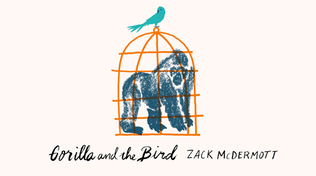 HBO ordina Gorilla and the Bird, miniserie di Jean-Marc Vallée