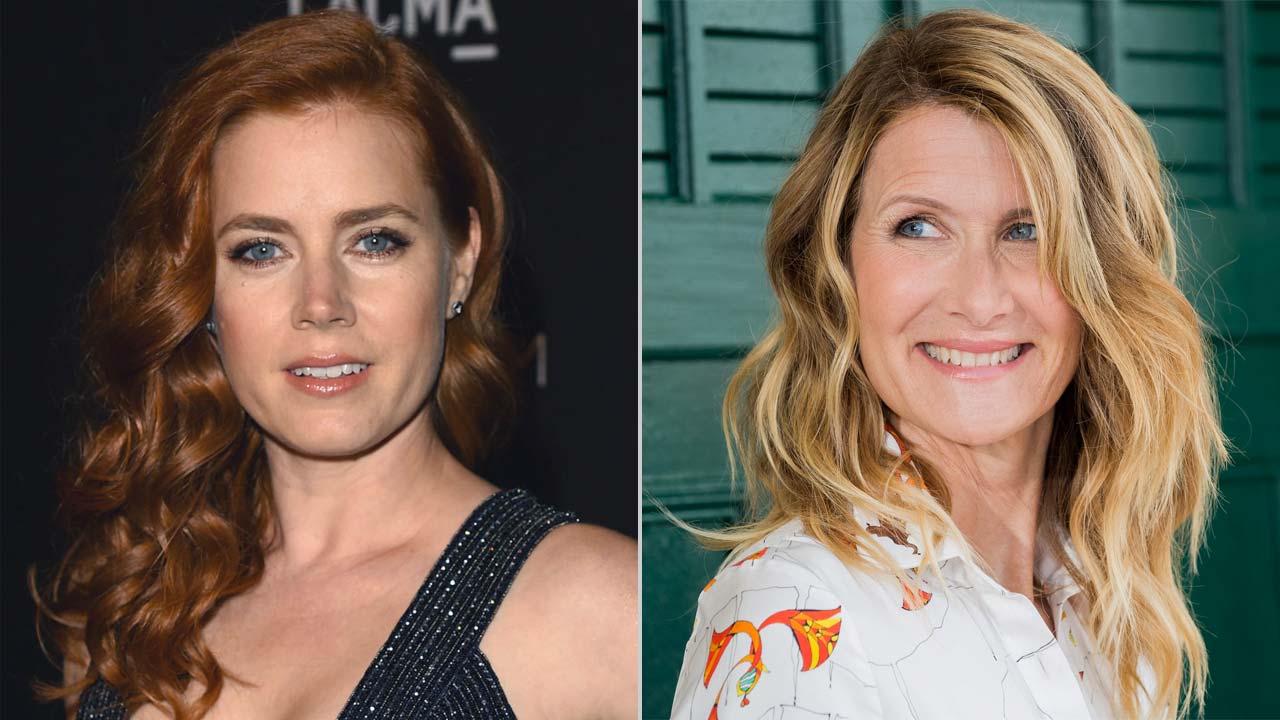 Amy Adams e Laura Dern producono The Most Fun We Ever Had, nuova serie tv per HBO