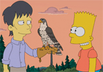 I tre giorni del falco I tre giorni del falco
