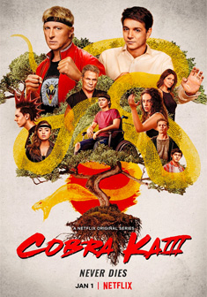 Cobra Kai