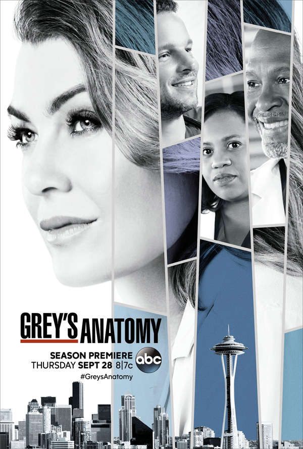 Grey's Anatomy - Stagione 14