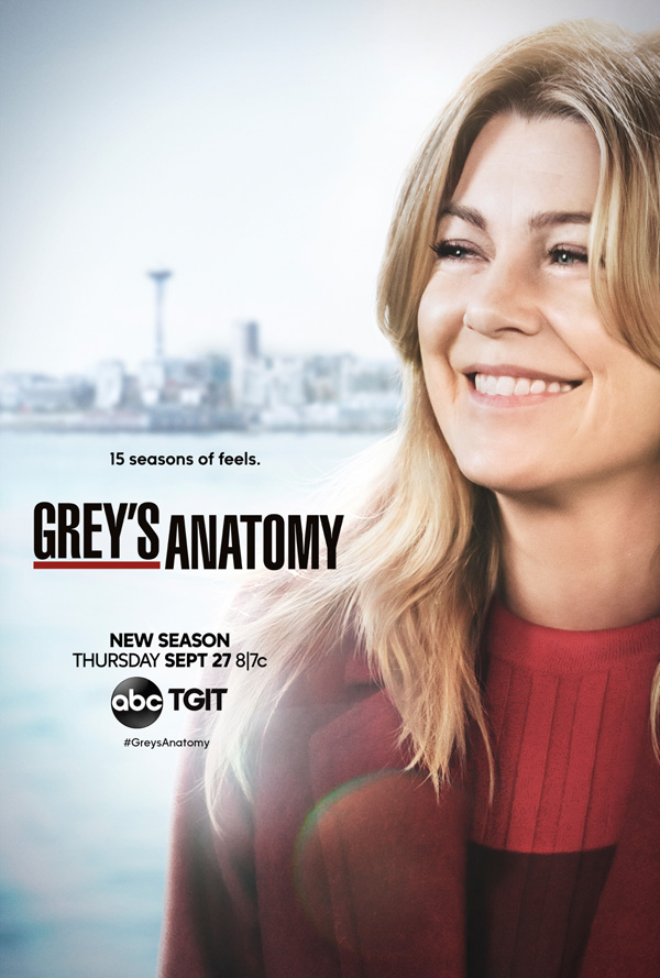 Grey's Anatomy - Stagione 15