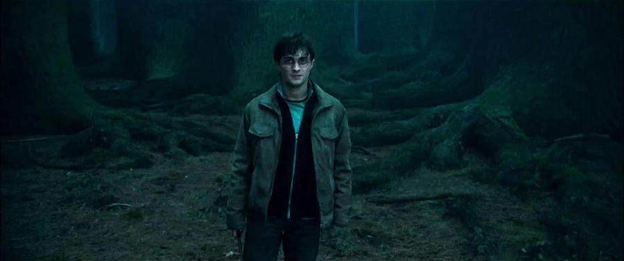Harry Potter e i doni del
