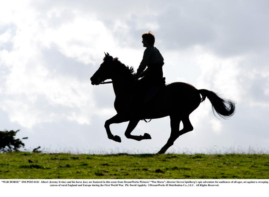 War Horse