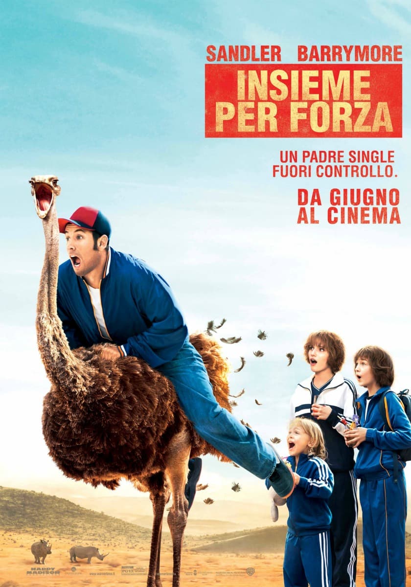 Insieme per forza