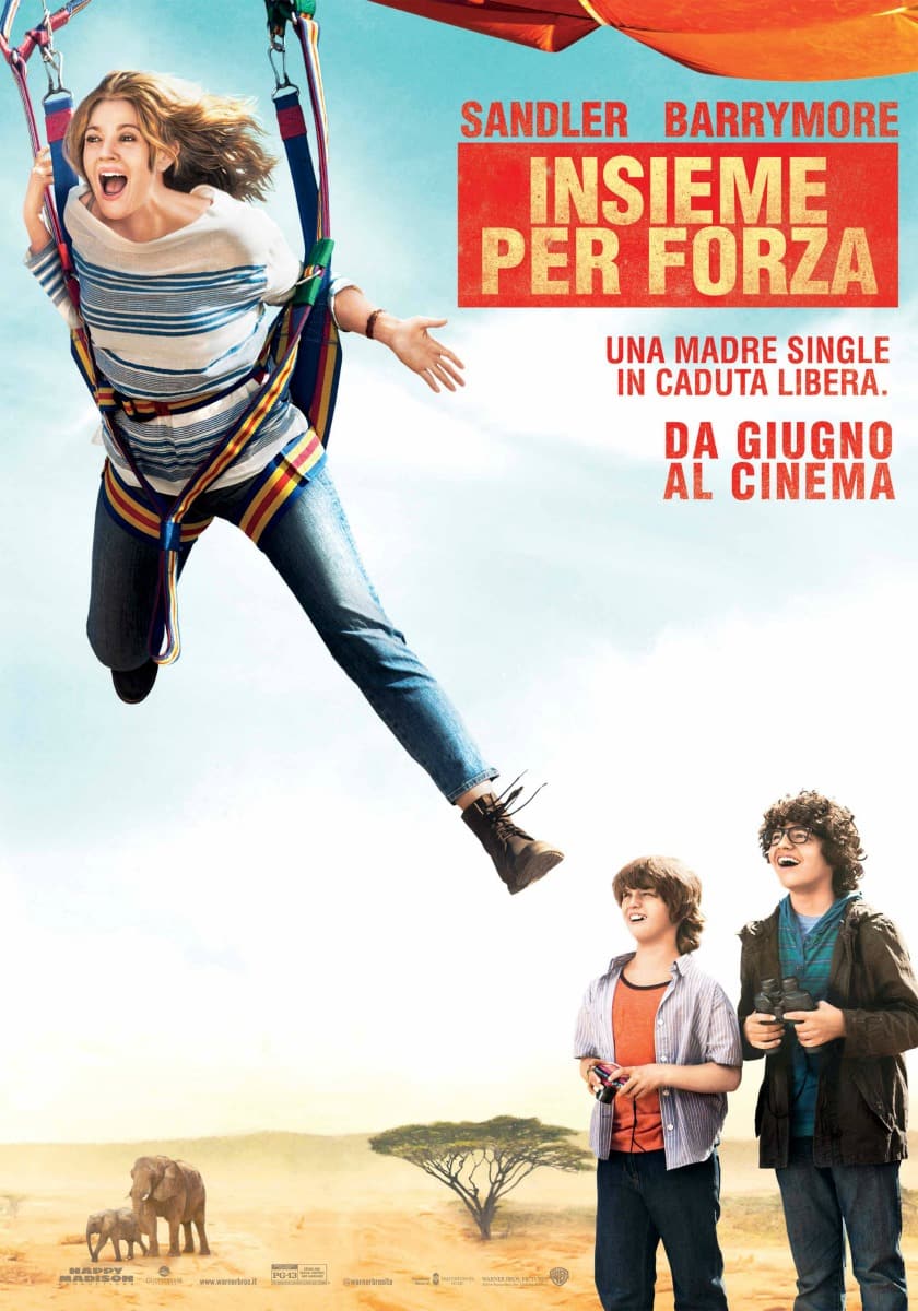 Insieme per forza