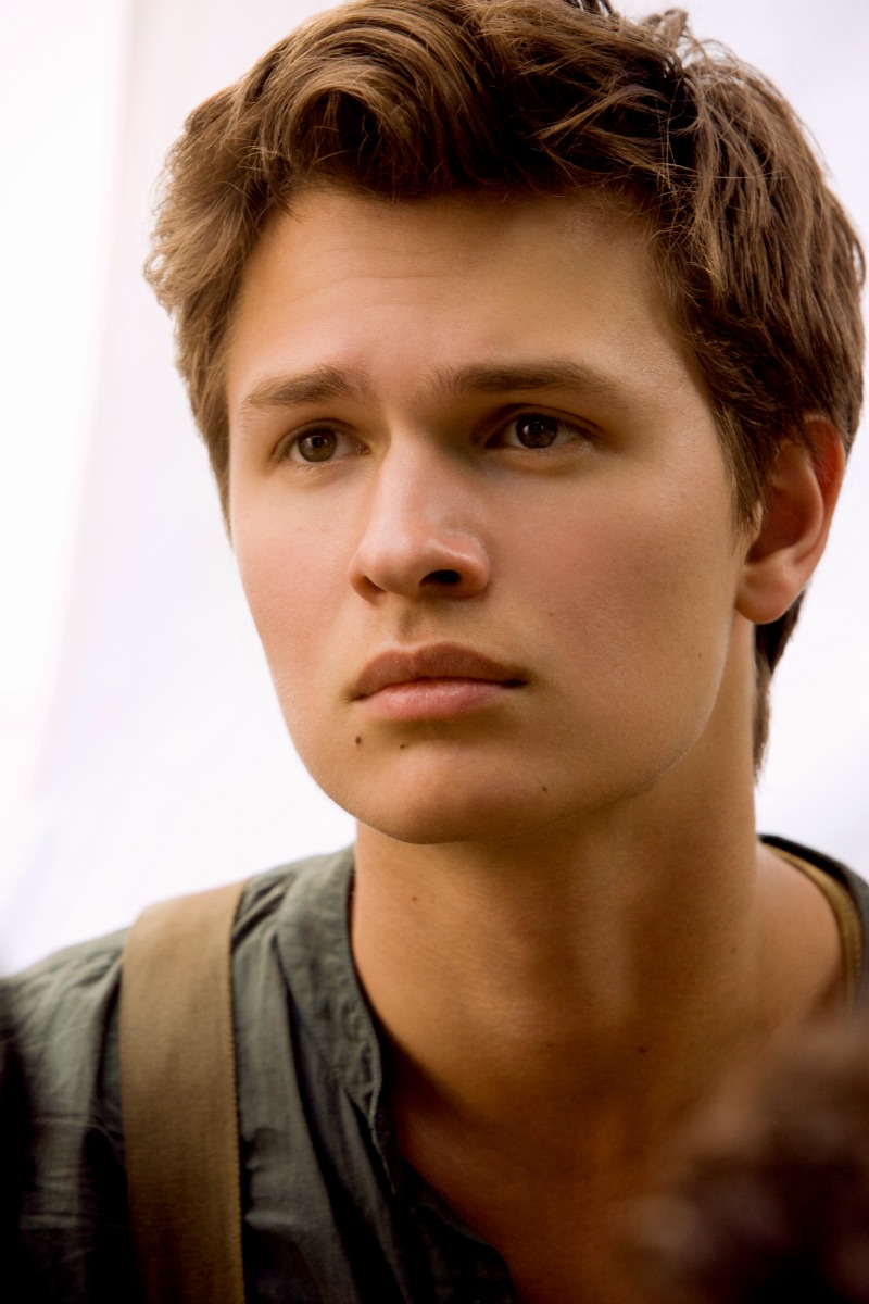 Insurgent