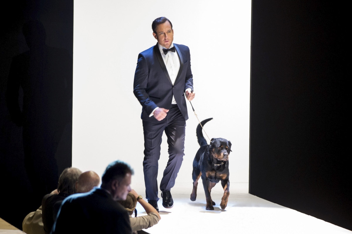 Show Dogs