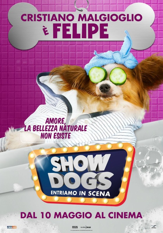 Show Dogs