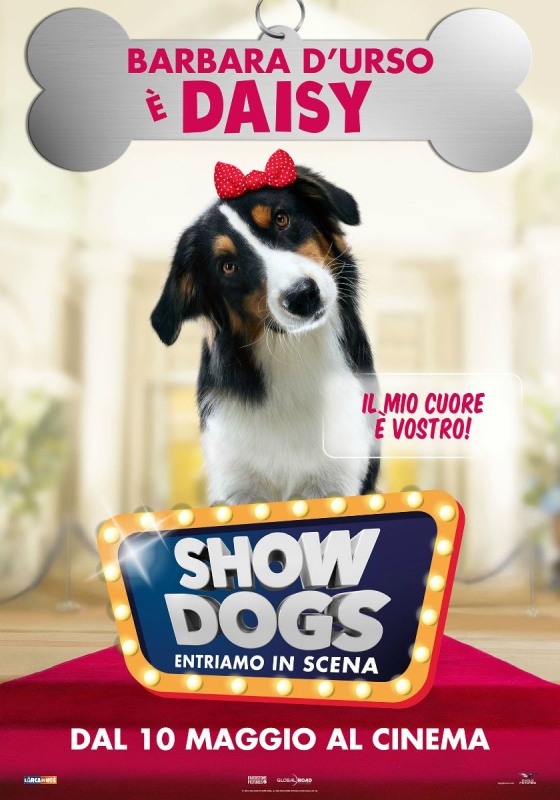 Show Dogs