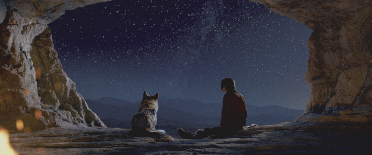 Alpha: un'amicizia forte come la vita