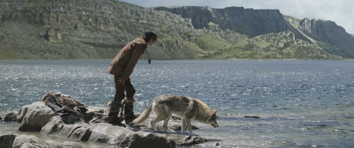 Alpha: un'amicizia forte come la vita