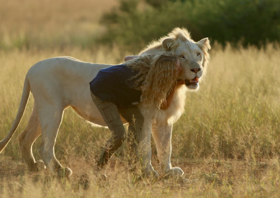 Mia e il Leone Bianco
