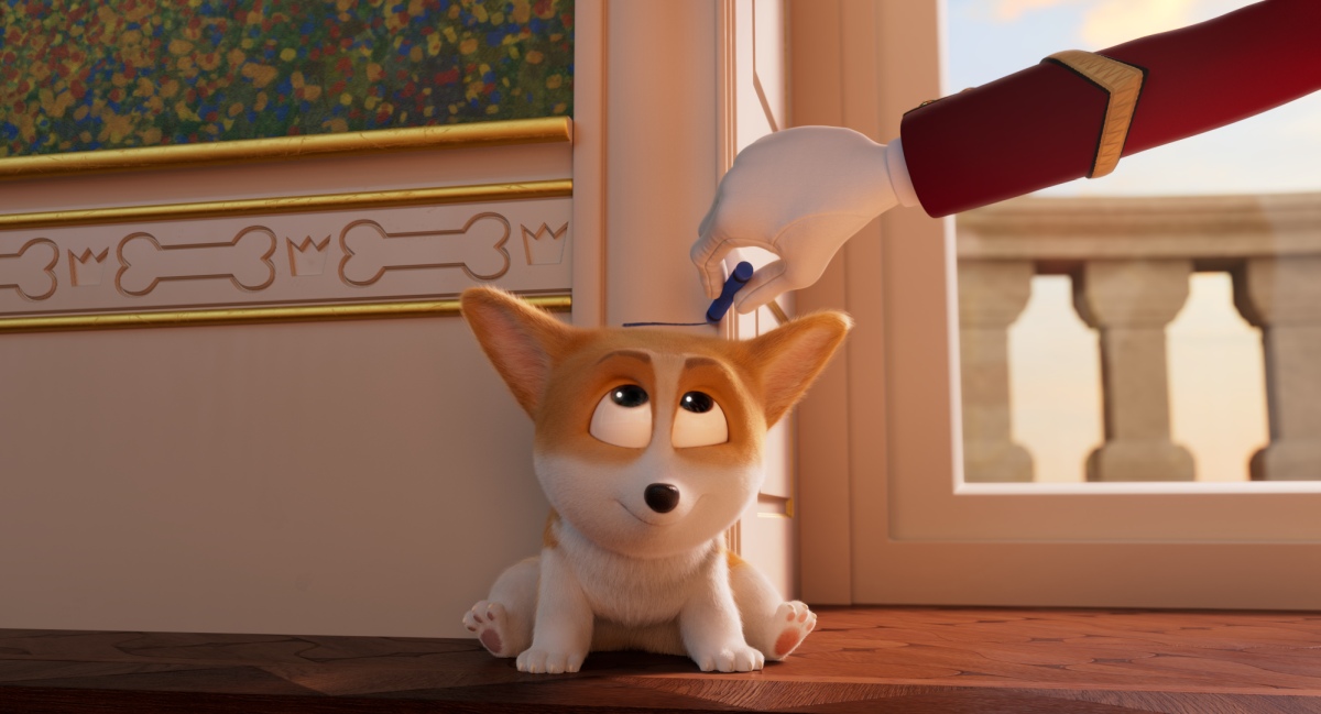 rex un cucciolo a palazzo