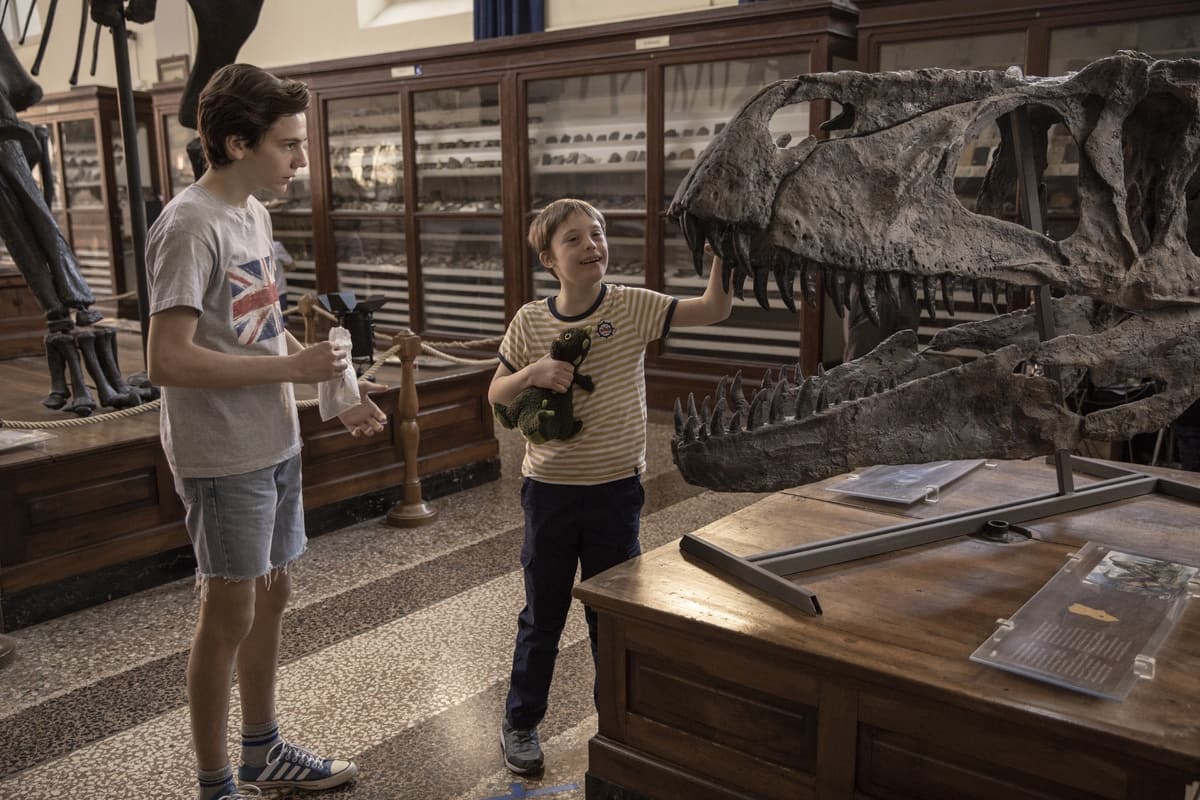 Dove è Ambientato Il Film Mio Fratello Rincorre I Dinosauri Mio Fratello rincorre i Dinosauri Foto